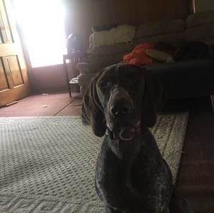 Meet your Posher, Blake